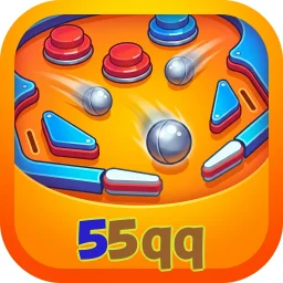 55qq